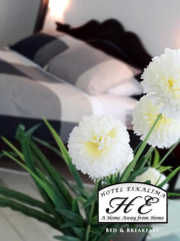 Hotel Eskalima Алахуэла Номер фото